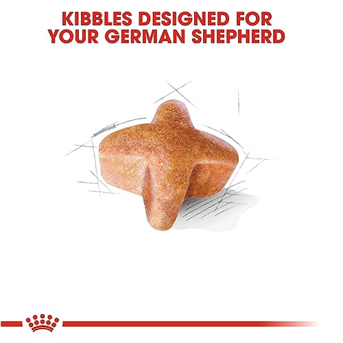 Royal Canin Adult Dry Dog Food - 30 lb