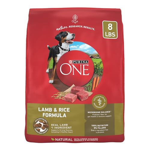 Purina ONE Lamb and Rice Dry Dog Food - 8lb