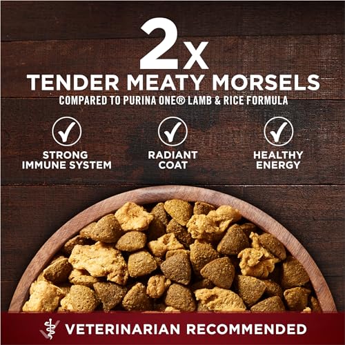 Purina ONE True Instinct High Protein Dog Food