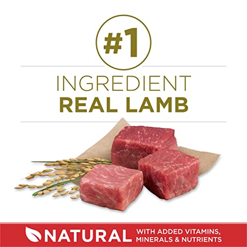 Purina ONE Lamb and Rice Dry Dog Food - 8lb