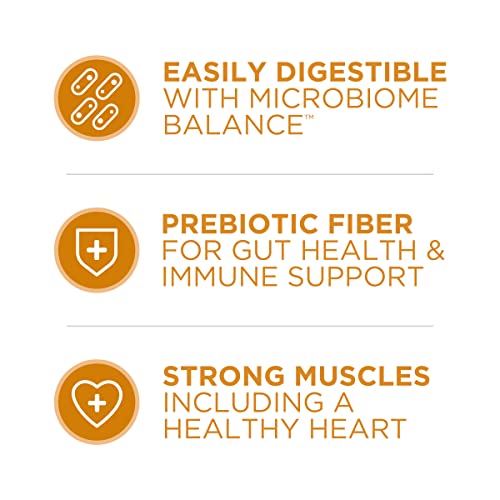 Purina ONE Chicken & Rice Dry Dog Food - 40 lb