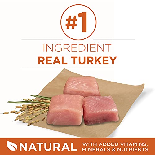 Purina ONE Healthy Weight High-Protein Dog Food - 40lb