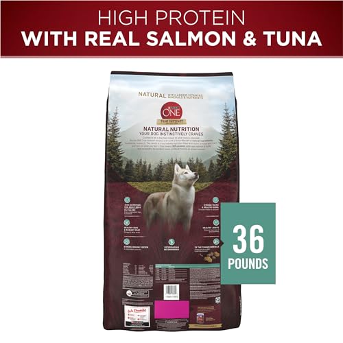 Purina ONE True Instinct High Protein Dog Food