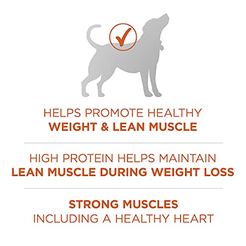Purina ONE Healthy Weight High-Protein Dog Food - 40lb