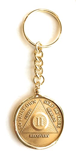 18k Gold Plated AA Keychain Chip Holder