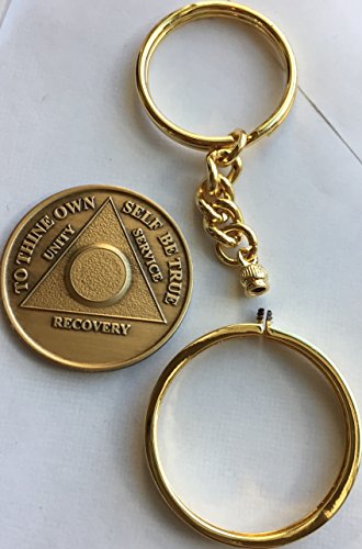 18k Gold Plated AA Keychain Chip Holder