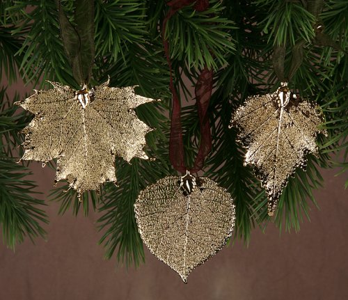 Leaf Ornament - Aspen, Gold Plated, Real Leaves