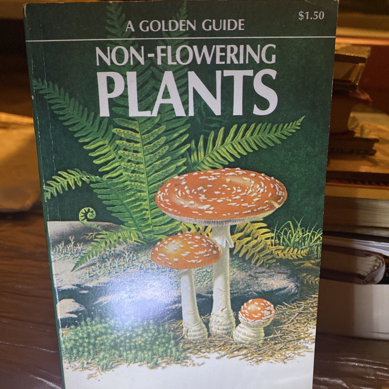 Golden Guide: Non-Flowering Plants 1967