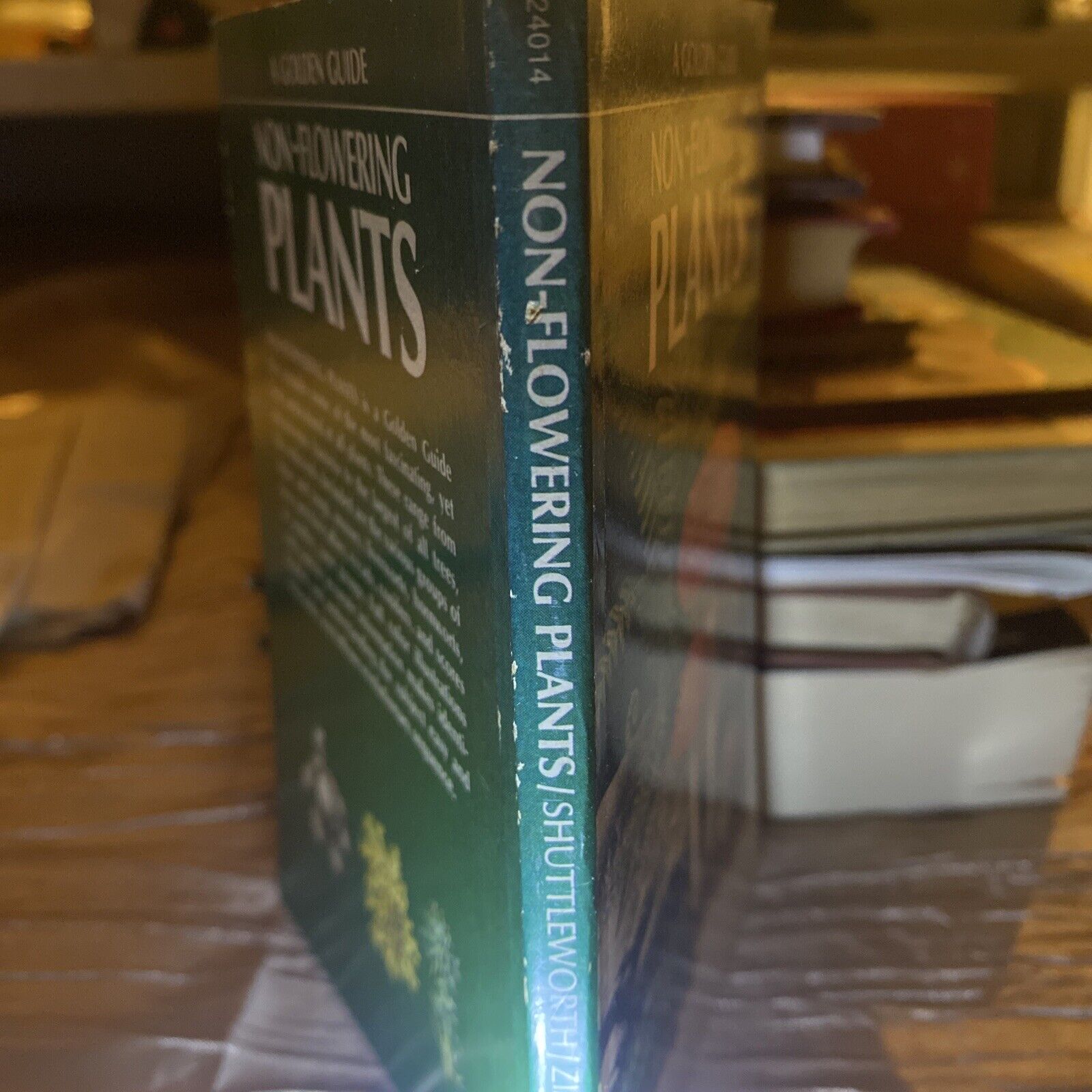Golden Guide: Non-Flowering Plants 1967