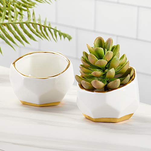 Geometric Ceramic Planters Set - White
