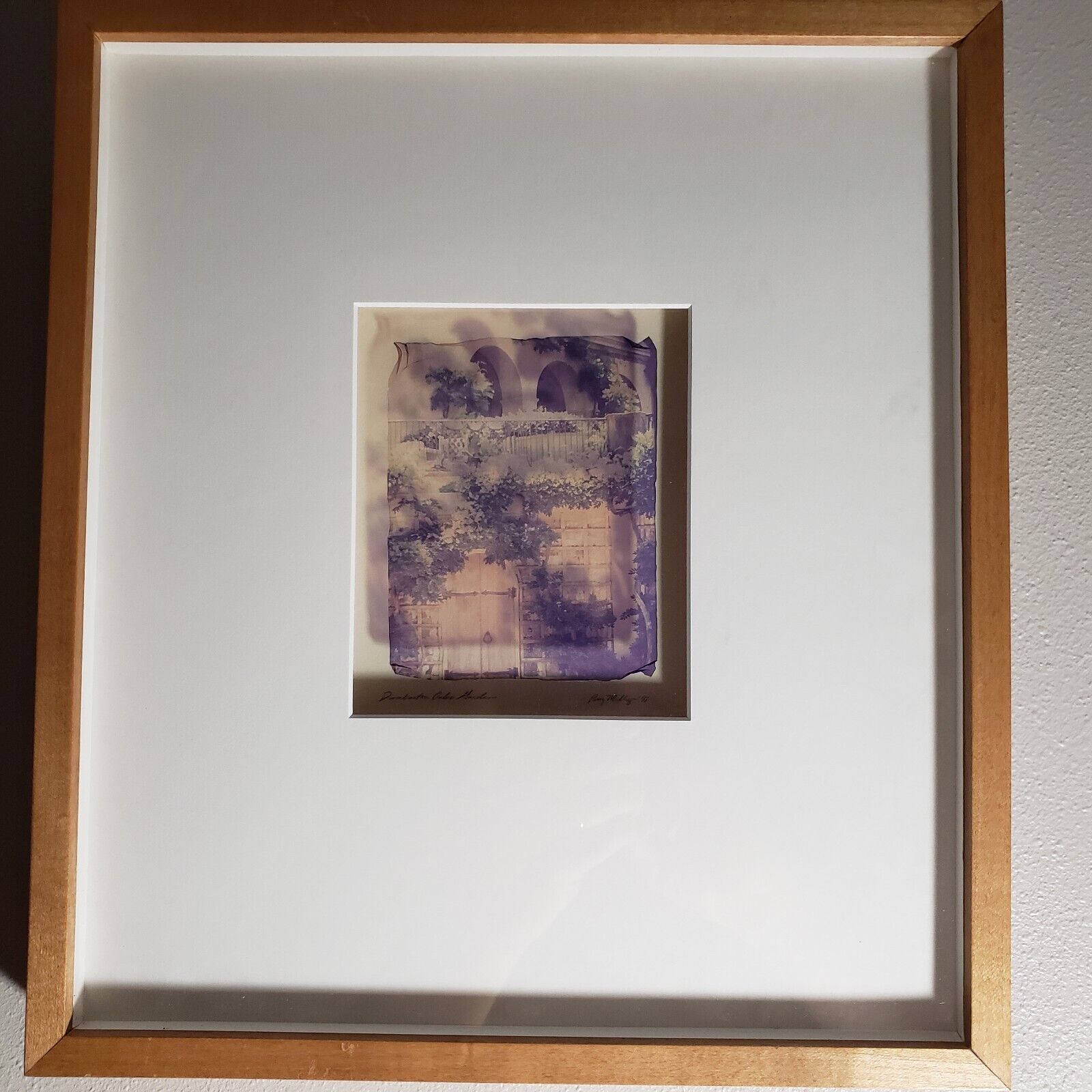 Gold Leaf Orotone - Patty Mulligan's Dumburton Oaks Gardens