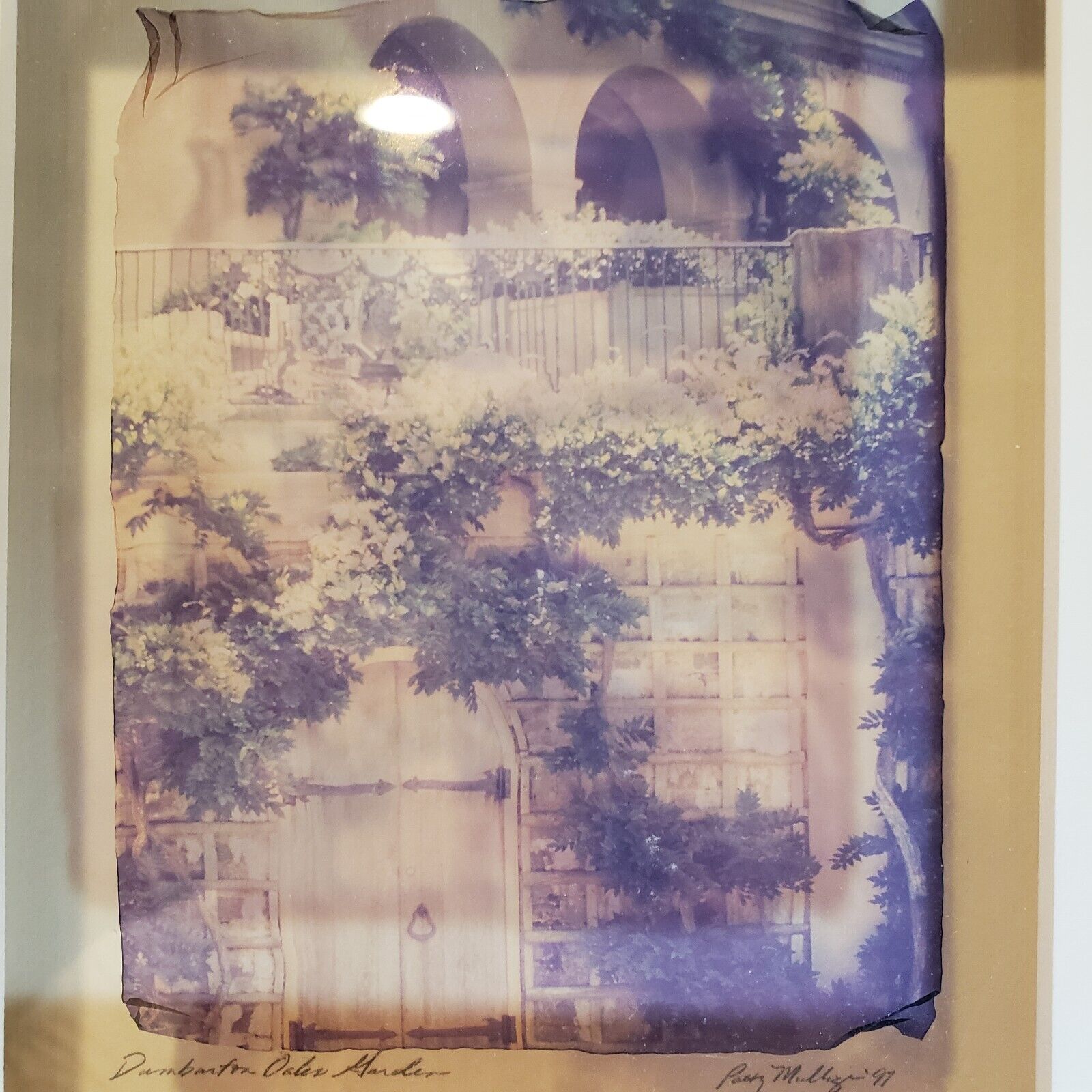 Gold Leaf Orotone - Patty Mulligan's Dumburton Oaks Gardens