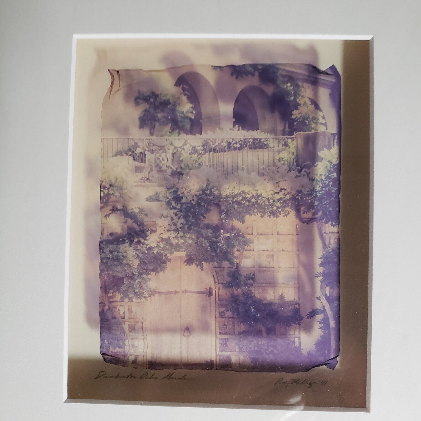 Gold Leaf Orotone - Patty Mulligan's Dumburton Oaks Gardens