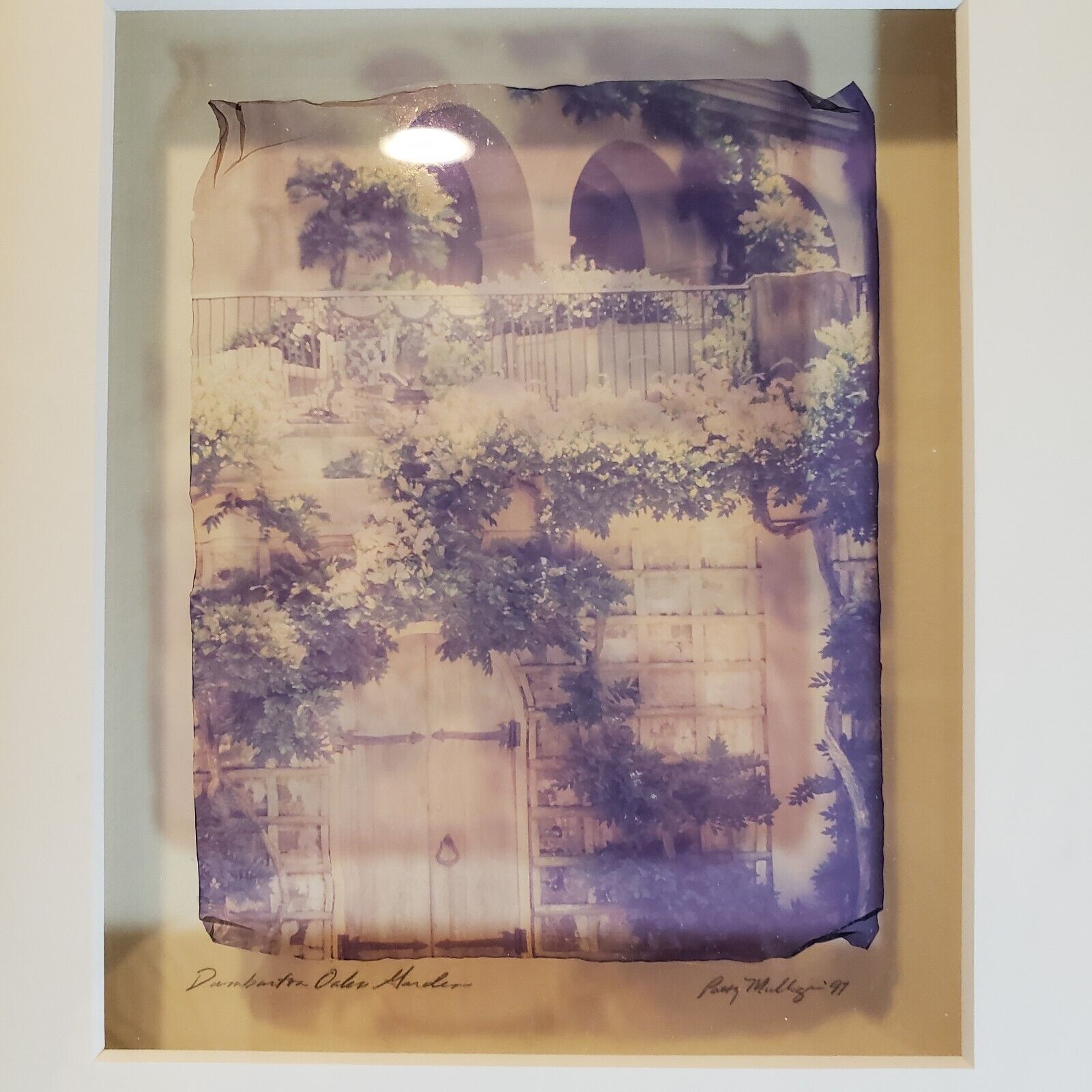 Gold Leaf Orotone - Patty Mulligan's Dumburton Oaks Gardens