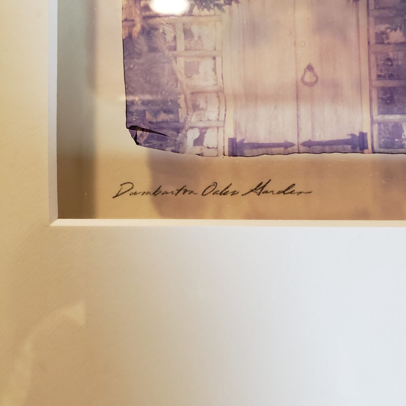 Gold Leaf Orotone - Patty Mulligan's Dumburton Oaks Gardens