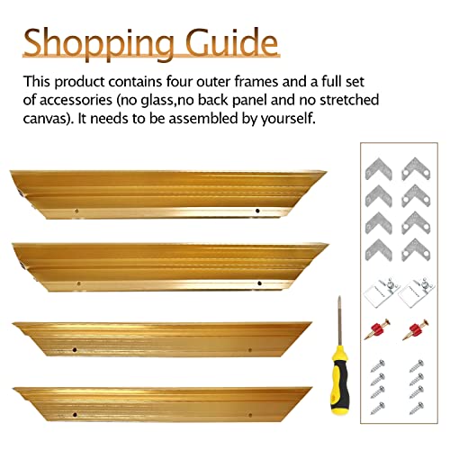 Gold Metal Floater Frame for Canvas Painting