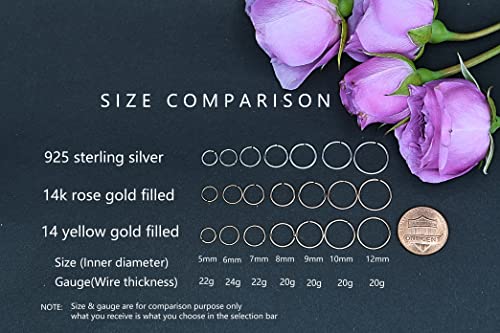 Small 14K Gold Cartilage & Nose Hoops