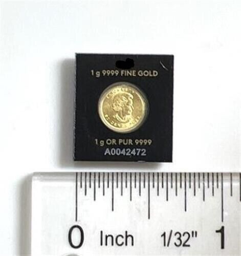 1 Gram Gold Maple Leaf Coin in Assay Card
