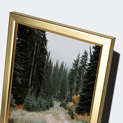 Gold Giverny Picture Frames Set of 4