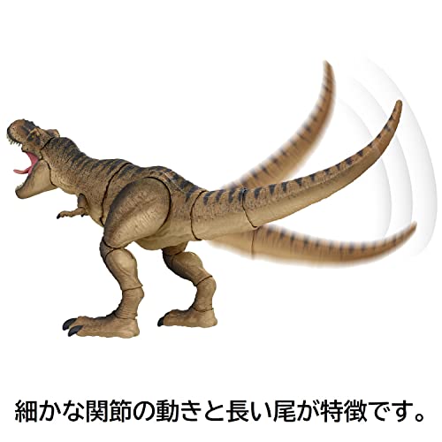 T-Rex Collector: Deluxe 24-in Dinosaur Figure