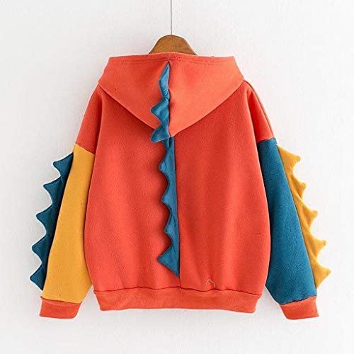 Dinosaur Hoodie for Women: Color Block Top