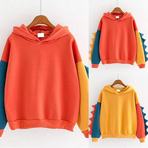 Dinosaur Hoodie for Women: Color Block Top
