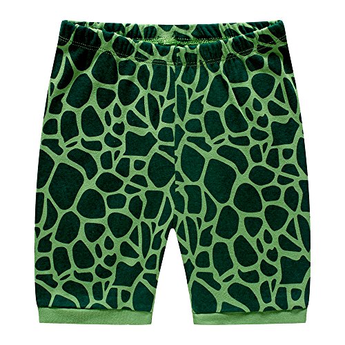 Popshion Toddler Boys Pajamas Cotton Summer Pjs for Boy Jammies Dinosaur Sleepwear Short Sets (5-6 Years/6T, Dinosaur 1)