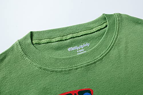 Popshion Toddler Boys Pajamas Cotton Summer Pjs for Boy Jammies Dinosaur Sleepwear Short Sets (5-6 Years/6T, Dinosaur 1)