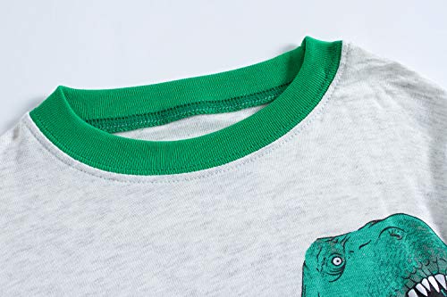 Popshion Boys Pajamas 100% Cotton Long Sleeve Toddler Pjs Set T-Rex Dinosaurs Clothes Kids Pjs Sleepwear(Green Dinosaurs-6230 3T)