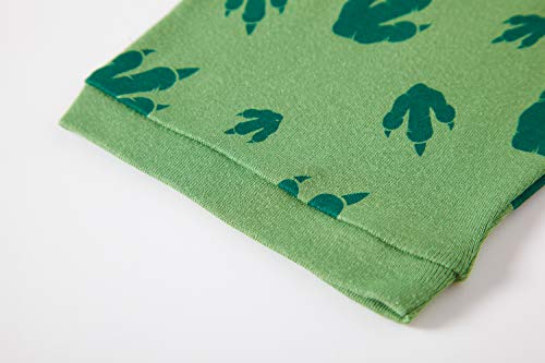 Little Boys Pajamas Shorts Set for Toddler Summer Clothes Dinosaur Sleepwear Cotton 2 Piece Kids Pjs Size 1-8 Years(Green Dinosaur-6102 4T)