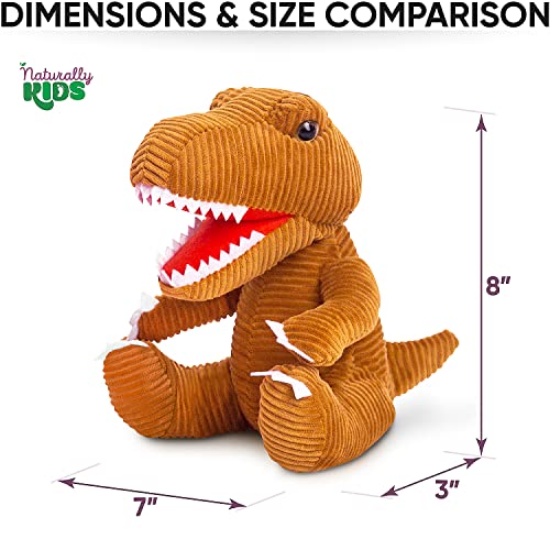 Naturally KIDS Small Dinosaur Backpack Dinosaur Toys for Kids 3-5 - Dinosaur Toys for 3 4 5 6 Year Old Boys Girls Gift - Toddler Backpack for Boys Dinosaurs for Boys Dino Toy - Dinosaur Stuffed Animal