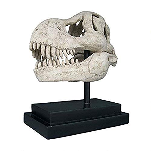 T-Rex Fossil Statue on Museum Mount