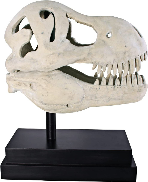 T-Rex Dinosaur Skull Sculpture Realistic Fossil Replica Statue on Display Mount