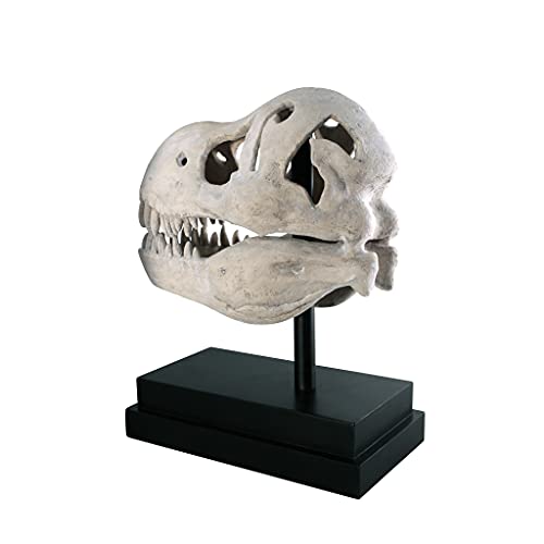 T-Rex Fossil Statue on Museum Mount