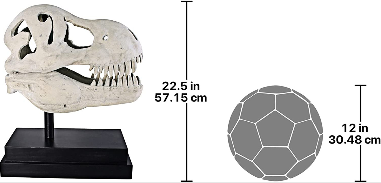 T-Rex Dinosaur Skull Sculpture Realistic Fossil Replica Statue on Display Mount