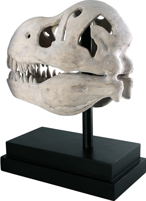T-Rex Dinosaur Skull Sculpture Realistic Fossil Replica Statue on Display Mount