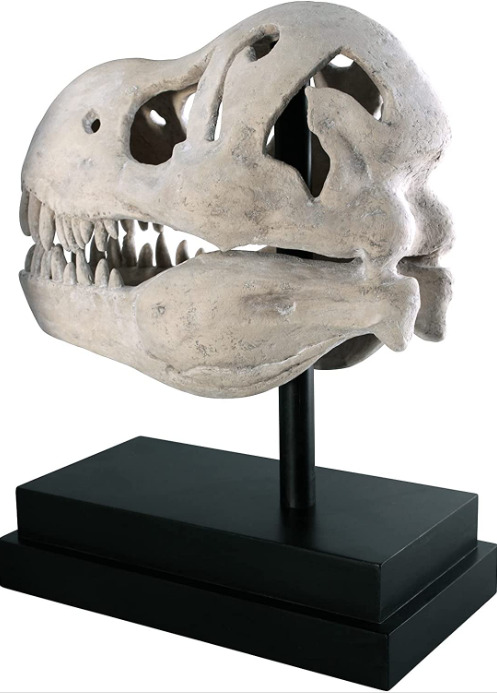 T-Rex Dinosaur Skull Sculpture Realistic Fossil Replica Statue on Display Mount