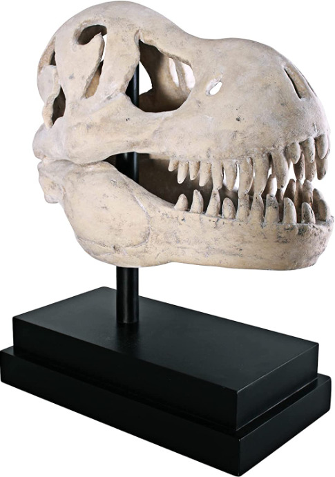 T-Rex Dinosaur Skull Sculpture Realistic Fossil Replica Statue on Display Mount