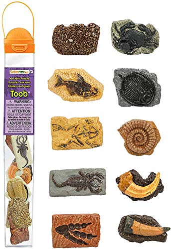10 Dinosaur Fossils Toy Figurines SET