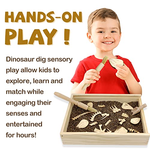 Stegosaurus Dino Dig Kit for Kids