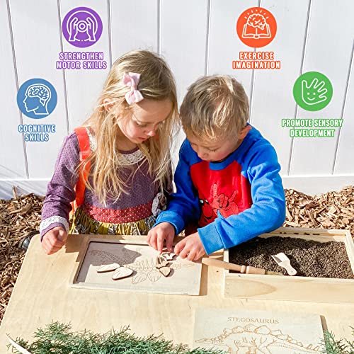 Stegosaurus Dino Dig Kit for Kids