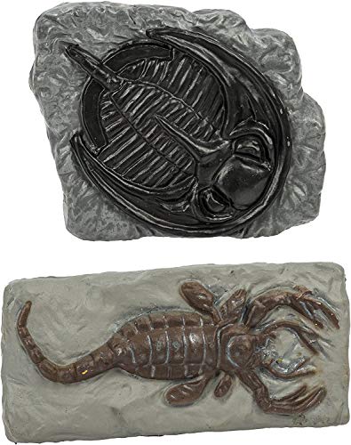 10 Ancient Fossils Toy Figurines TOOB
