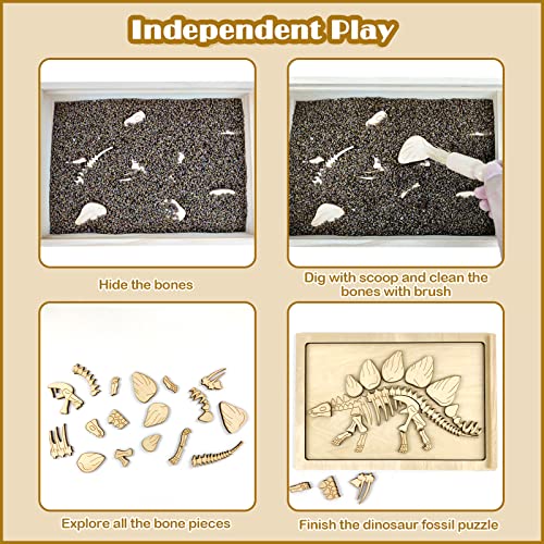 Stegosaurus Dino Dig Kit for Kids