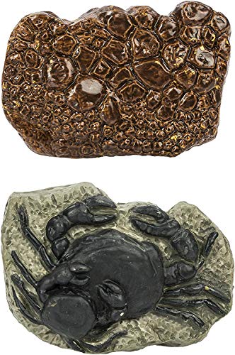 10 Ancient Fossils Toy Figurines TOOB