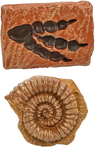 10 Ancient Fossils Toy Figurines TOOB