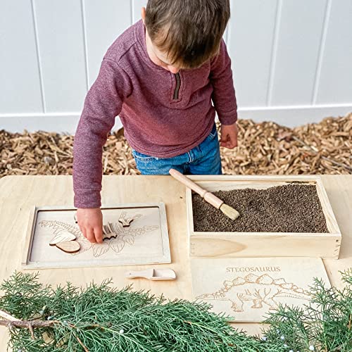 Stegosaurus Dino Dig Kit for Kids