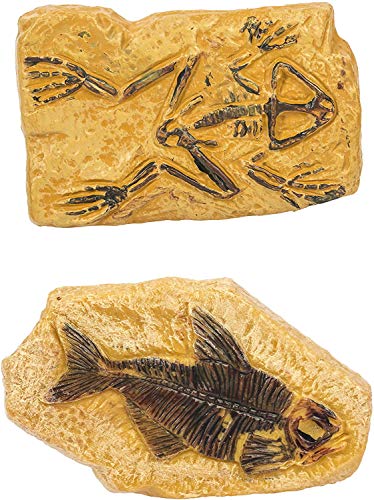 10 Ancient Fossils Toy Figurines TOOB