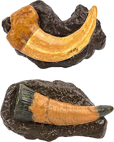 10 Ancient Fossils Toy Figurines TOOB