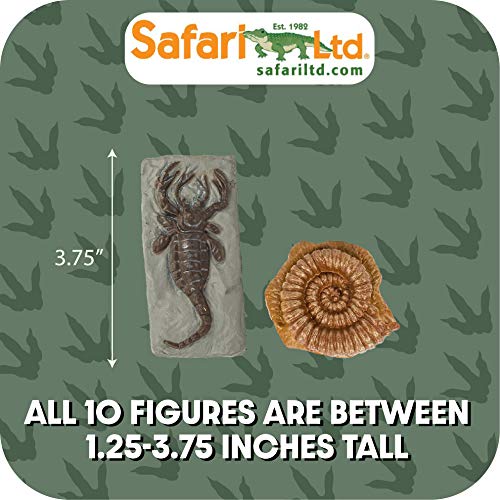 10 Ancient Fossils Toy Figurines TOOB