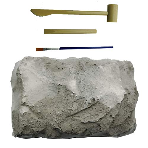 Dinosaur Fossil Dig Kit for Kids